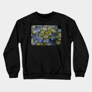 Hydrangea in Blue Crewneck Sweatshirt